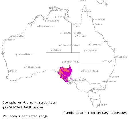 Peninsula dragon (Ctenophorus fionni) distribution range map
