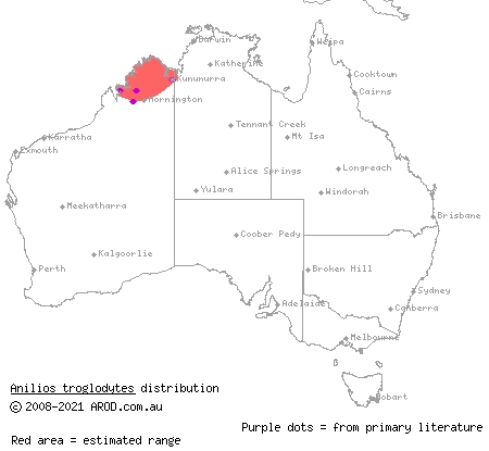 Sandamara blind snake (Ramphotyphlops troglodytes) distribution range map