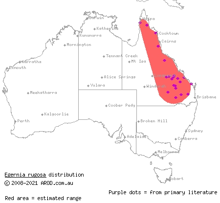 yakka skink (Egernia rugosa) distribution range map