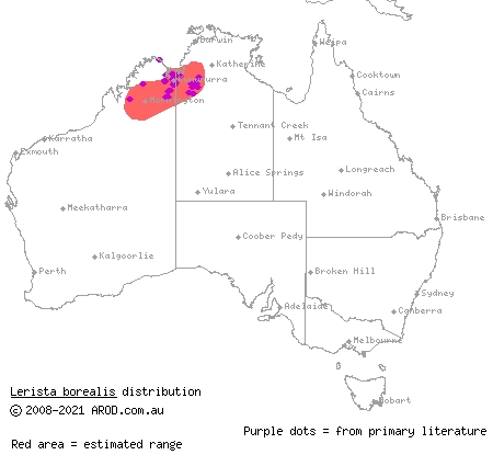 inland Kimberley slider (Lerista borealis) distribution range map