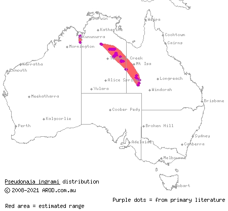 Ingram's brown snake (Pseudonaja ingrami) distribution range map
