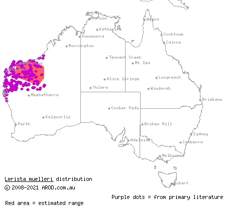 wood mulch-slider (Lerista muelleri) distribution range map
