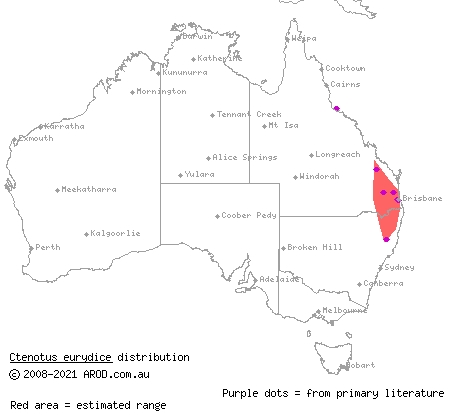 brown-backed yellow-lined ctenotus (Ctenotus eurydice) distribution range map