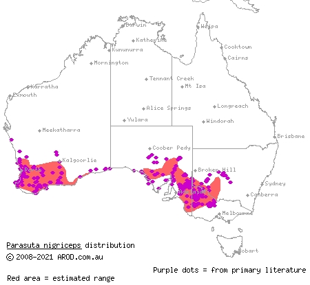 Mitchell's short-tailed snake (Parasuta nigriceps) distribution range map