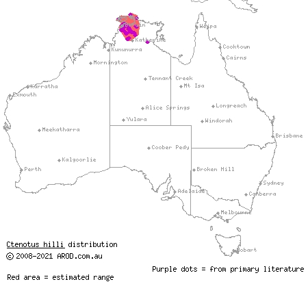 top-end lowlands ctenotus (Ctenotus hilli) distribution range map