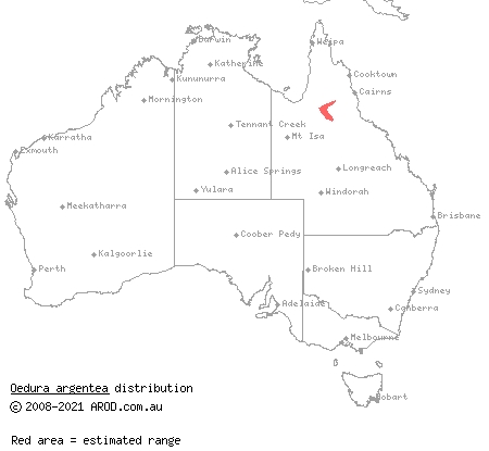 silver-eyed velvet gecko (Oedura argentea) distribution range map
