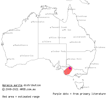 eared worm-lizard (Aprasia aurita) distribution range map