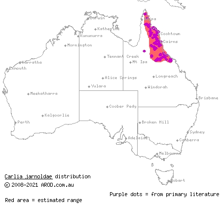 lined rainbow-skink (Carlia jarnoldae) distribution range map