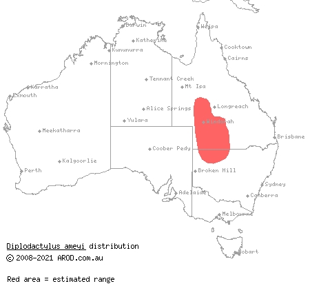 Eastern deserts fat-tailed gecko (Diplodactylus ameyi) distribution range map