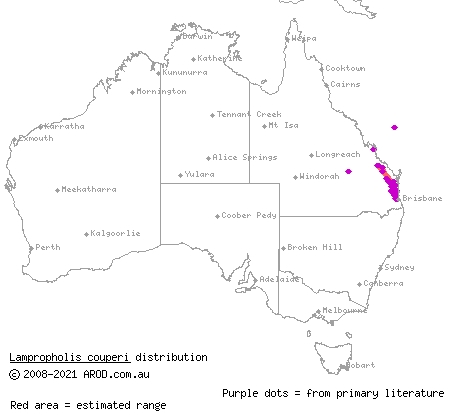 plain-backed sunskink (Lampropholis couperi) distribution range map