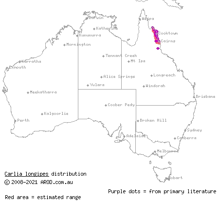 closed-litter rainbow-skink (Carlia longipes) distribution range map