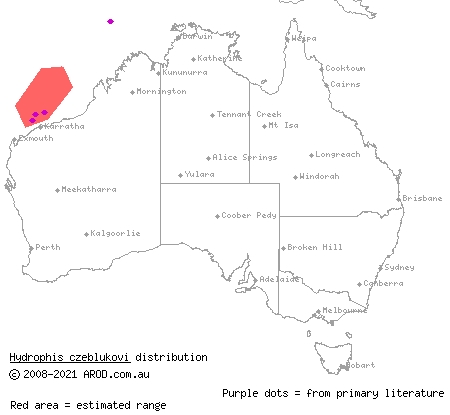 geometrical sea snake (Hydrophis czeblukovi) distribution range map