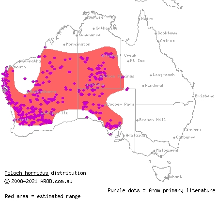 thorny devil (Moloch horridus) distribution range map