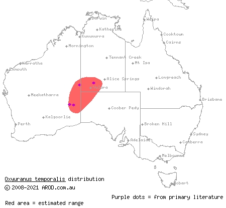 western desert taipan (Oxyuranus temporalis) distribution range map