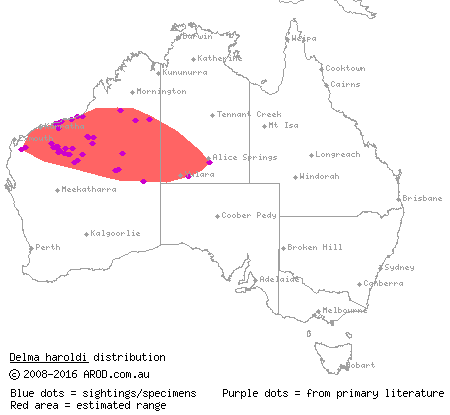 neck-barred delma (Delma haroldi) distribution range map