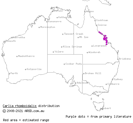 blue-throated rainbow-skink (Carlia rhomboidalis) distribution range map