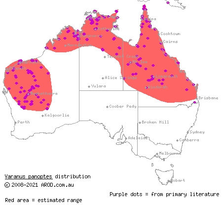 yellow-spotted monitor (Varanus panoptes) distribution range map