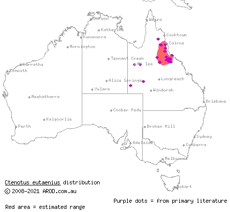 black-backed yellow-lined ctenotus (Ctenotus eutaenius) distribution range map