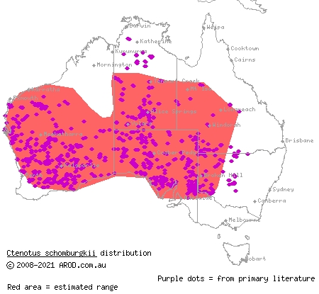 barred wedgesnout ctenotus (Ctenotus schomburgkii) distribution range map