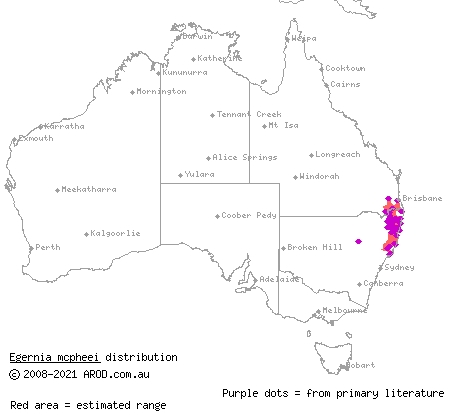 eastern crevice skink (Egernia mcpheei) distribution range map