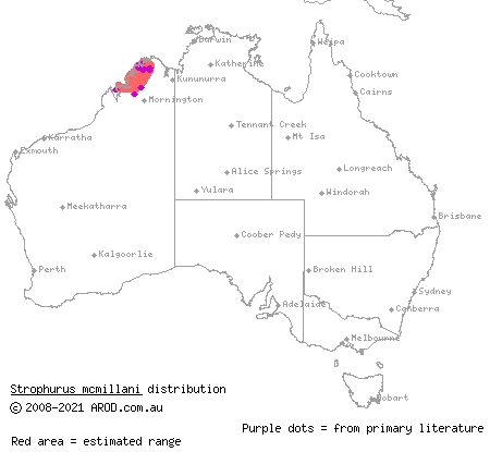short-tailed striped gecko (Strophurus mcmillani) distribution range map