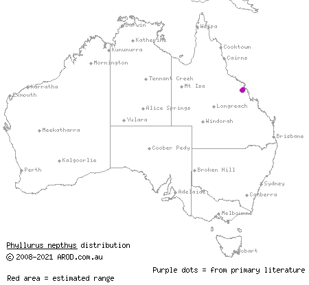 peppered-belly broad-tailed gecko (Phyllurus nepthys) distribution range map