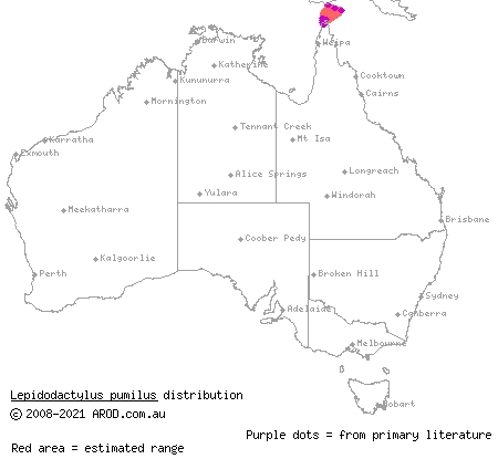 slender chained gecko (Lepidodactylus pumilus) distribution range map