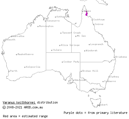 canopy goanna (Varanus keithhornei) distribution range map