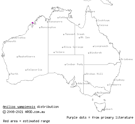 Yampi blind snake (Ramphotyphlops yampiensis) distribution range map