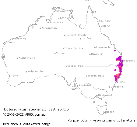 Stephens' banded snake (Hoplocephalus stephensii) distribution range map
