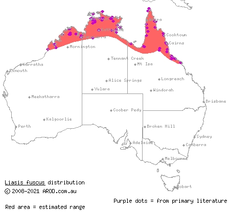 water python (Liasis fuscus) distribution range map
