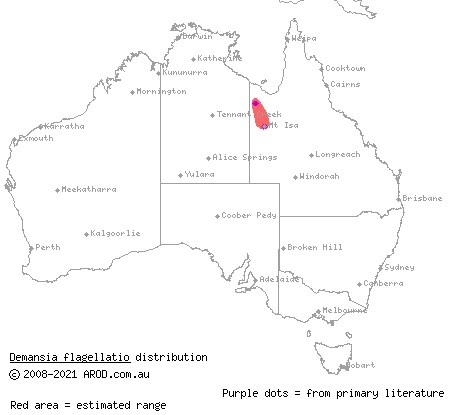 Carpentarian whipsnake (Demansia flagellatio) distribution range map