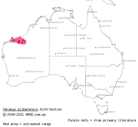 northern Pilbara rock monitor (Varanus pilbarensis) distribution range map
