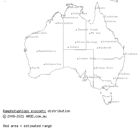 Christmas Island blind snake (Typhlops exocoeti) distribution range map