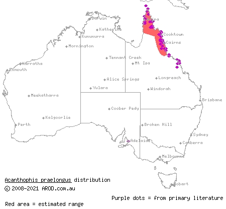north-eastern death adder (Acanthophis praelongus) distribution range map