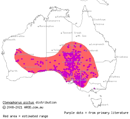 painted dragon (Ctenophorus pictus) distribution range map