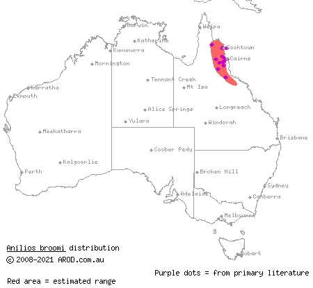 faint-striped blind snake (Ramphotyphlops broomi) distribution range map