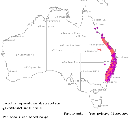 golden-crowned snake (Cacophis squamulosus) distribution range map