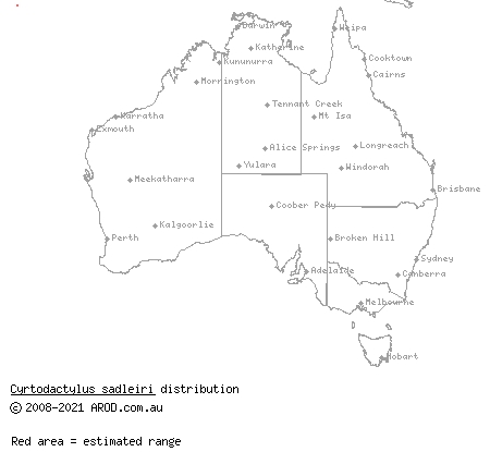 giant gecko (Cyrtodactylus sadleiri) distribution range map