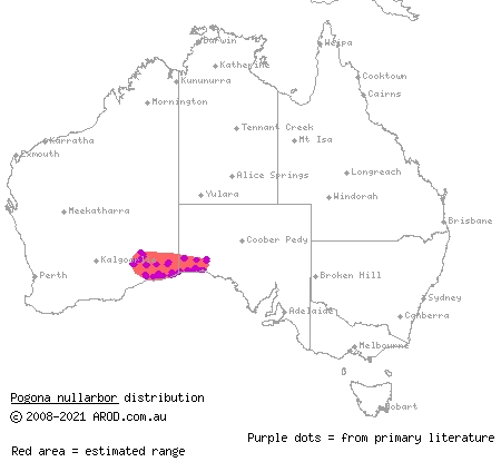 Nullarbor bearded dragon (Pogona nullarbor) distribution range map
