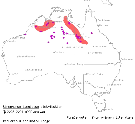 phasmid striped gecko (Strophurus taeniatus) distribution range map
