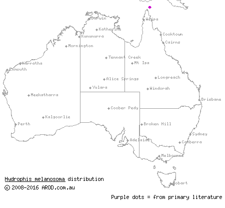 black-banded robust sea snake (Hydrophis melanosoma) distribution range map