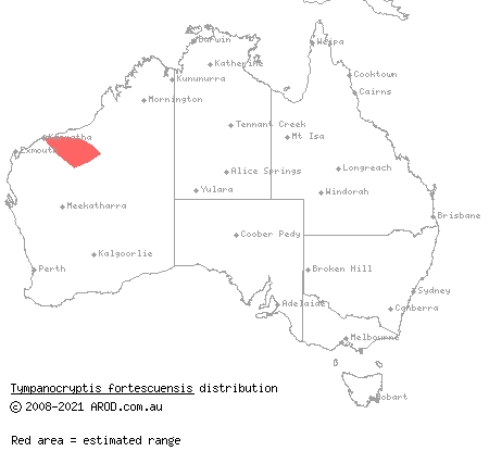 Fortescue pebble-mimic dragon (Tympanocryptis fortescuensis) distribution range map