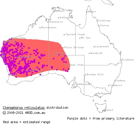 western netted dragon (Ctenophorus reticulatus) distribution range map