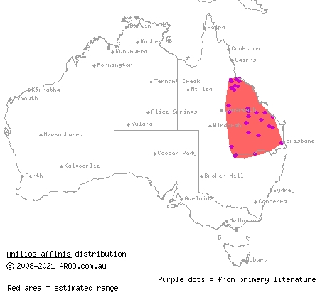 small-headed blind snake (Anilios affinis) distribution range map