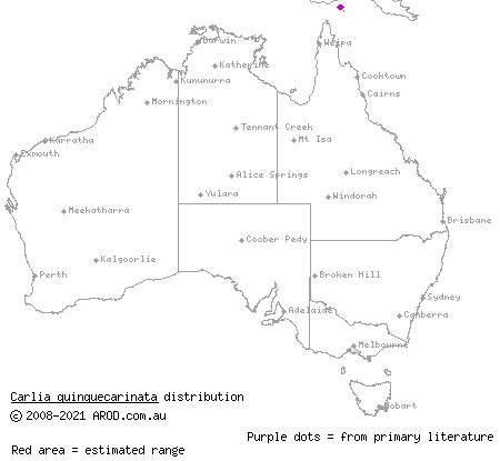 five-keeled rainbow-skink (Carlia quinquecarinata) distribution range map