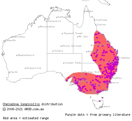 eastern long-necked turtle (Chelodina longicollis) distribution range map