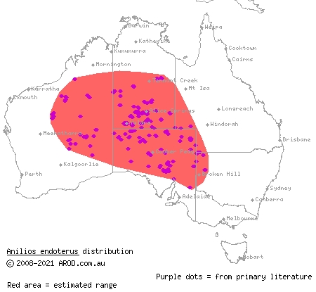 interior blind snake (Ramphotyphlops endoterus) distribution range map