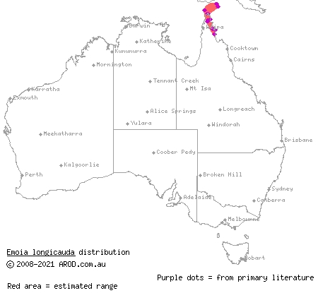 shrub whiptail-skink (Emoia longicauda) distribution range map