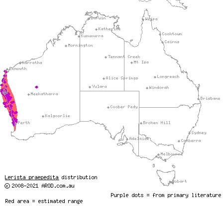 blunt-tailed west-coast slider (Lerista praepedita) distribution range map